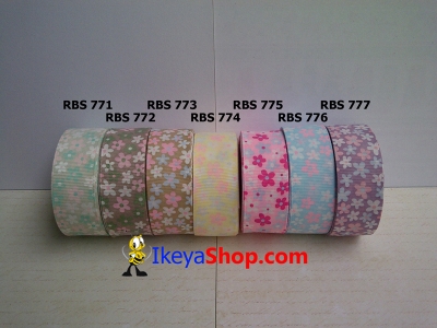 Pita RBS 771 777  large2